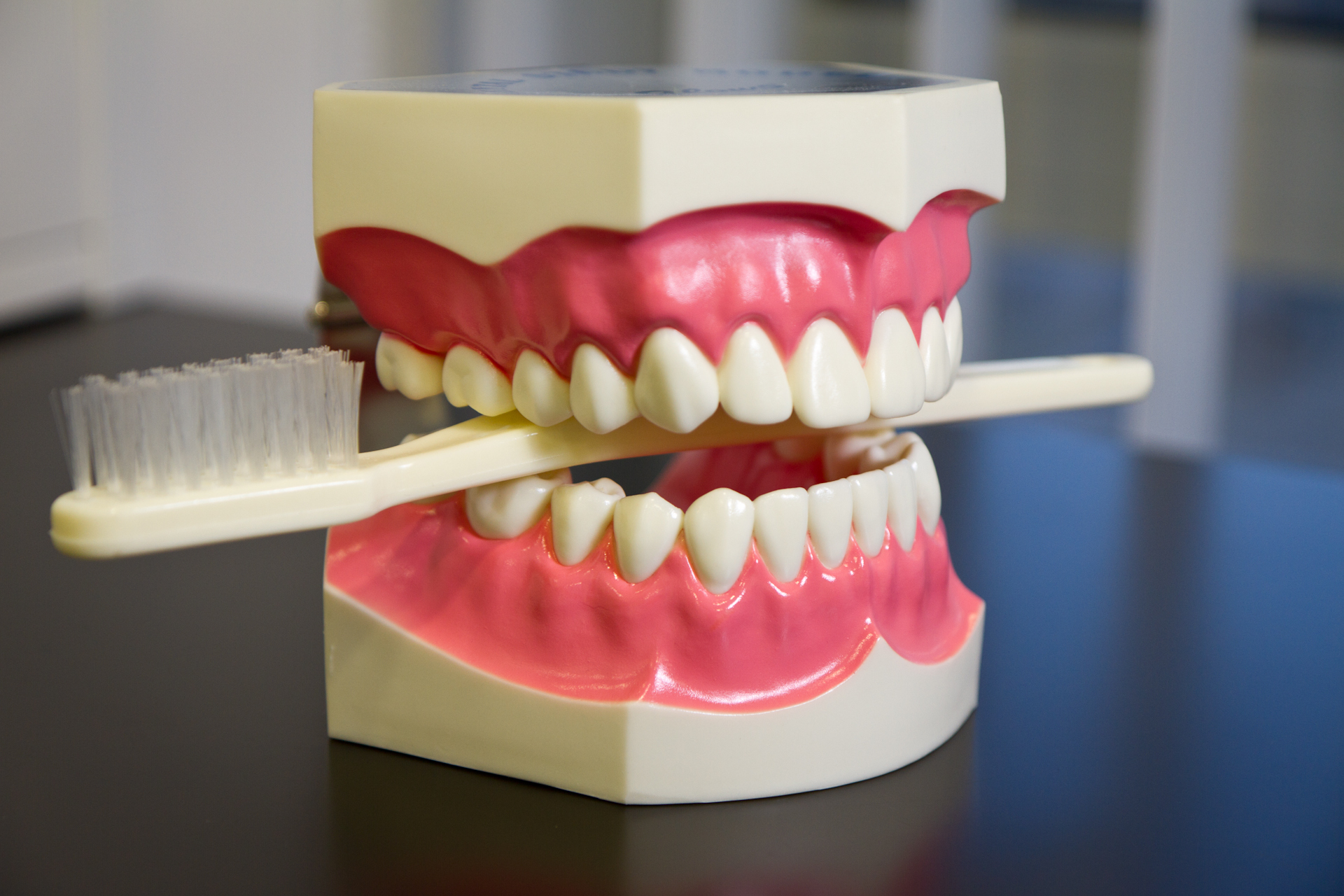 Medicina Dentária Preventiva - XL Smile